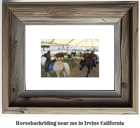 horseback riding near me in Irvine, California